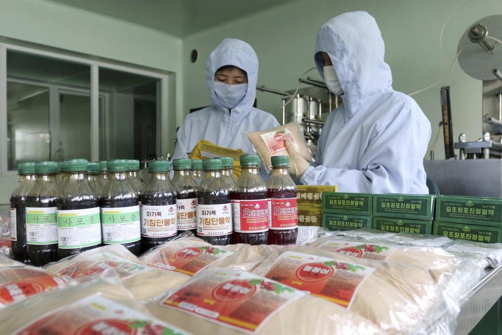 Korea Utara Dorong Pengobatan Tradisional untuk Melawan COVID-19 Korea Utara Dorong Pengobatan Tradisional untuk Melawan COVID-19