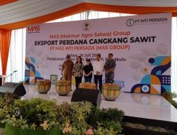 PT MAS sukses melaksanakan ekspor perdana cangkang sawit ke Thailand di Bengkulu