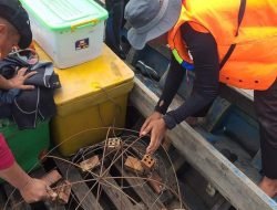 Banyu Biru Foundation bersama Dinas Pariwisata Sumsel Mengadakan Kegiatan Penanaman Terumbukarang di Pulau Mastari