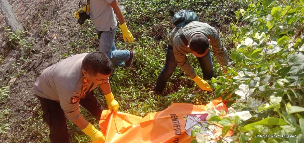 4 Hari Hilang Balita Ditemukan Membusuk Di Semak Belukar 4 Hari Hilang Balita Ditemukan Membusuk Di Semak Belukar