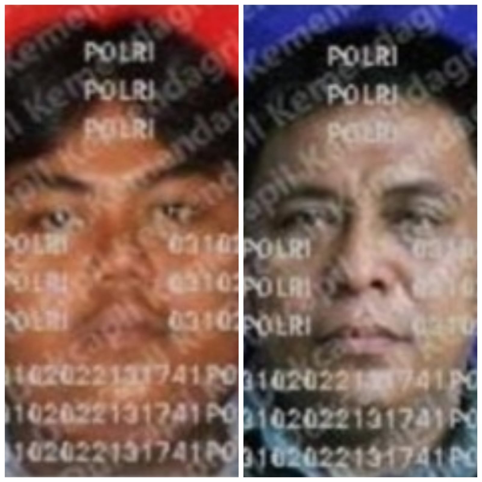 2 Pencuri Lembu Tewas Dimassa