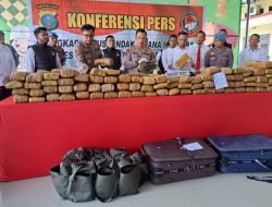 Sat Narkoba Polresta Deli Serdang Gerebek 173 Kg Ganja, 2 Wanita, 1 Pria, 2 DPO