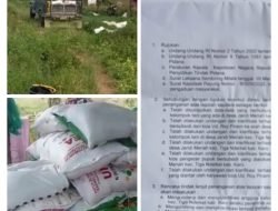 Pupuk Subsidi Dibawa Keluar Desa Lain, Warga Berharap Polisi Tangkap Pelaku