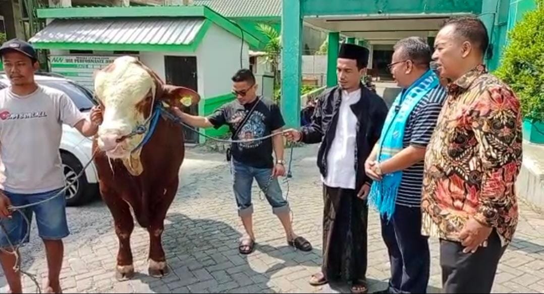PAN Jatim Serahkan Sapi Seberat 1,2 Ton ke Muhammadiyah dan NU Jatim, Achmad Rubaie: Untuk Mempererat Silaturahmi PAN Jatim Serahkan Sapi Seberat 1,2 Ton ke Muhammadiyah dan NU Jatim, Achmad Rubaie: Untuk Mempererat Silaturahmi
