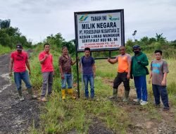 Pembersihan Areal HGU Limau Mungkur Akan Dilanjutkan, Sejumlah Penggarap Disomasi