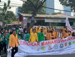 Lingkar Mahasiswa Jakarta Raya Minta KPAI Lindungi Anak Dibawah Umur dari Eksploitasi Video Kontroversial Kate Lim