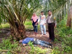 Sehari Tak Pulang, Anak Temukan Ayah Tewas Telungkup Di Kebun