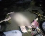 Mayat Yang Ditemukan Di Sungai Buaya Diduga Bernama Rosa Lina Sinaga