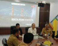 Ini Hasil BPS Produksi Beras di Sumsel