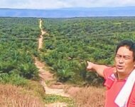 Nikel Anti Rakyat : Benahi atau Moratorium?