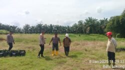 Polresta Deli Serdang Gelar Penanaman Jagung Serentak 8,016 Hektar Lahan Polresta Deli Serdang Gelar Penanaman Jagung Serentak 8,016 Hektar Lahan