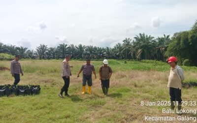 Polresta Deli Serdang Gelar Penanaman Jagung Serentak 8,016 Hektar Lahan