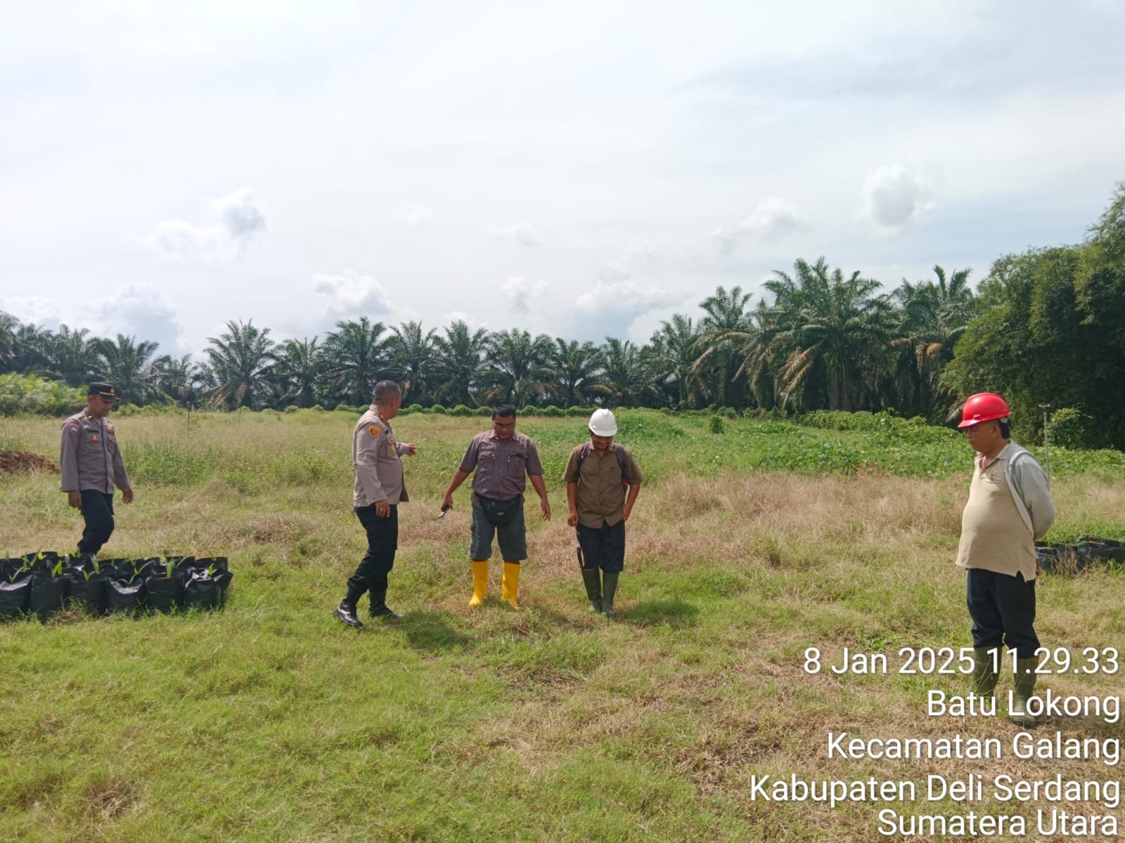 Polresta Deli Serdang Gelar Penanaman Jagung Serentak 8,016 Hektar Lahan Polresta Deli Serdang Gelar Penanaman Jagung Serentak 8,016 Hektar Lahan