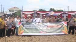 Kapolresta Deli Serdang Bersama Forkopimda Deli Serdang melaksanakan Penanaman jagung Serentak Seluruh Indonesia