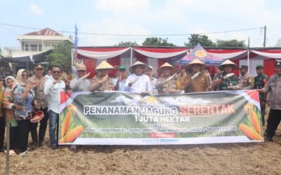 Kapolresta Deli Serdang Bersama Forkopimda Deli Serdang melaksanakan Penanaman jagung Serentak Seluruh Indonesia