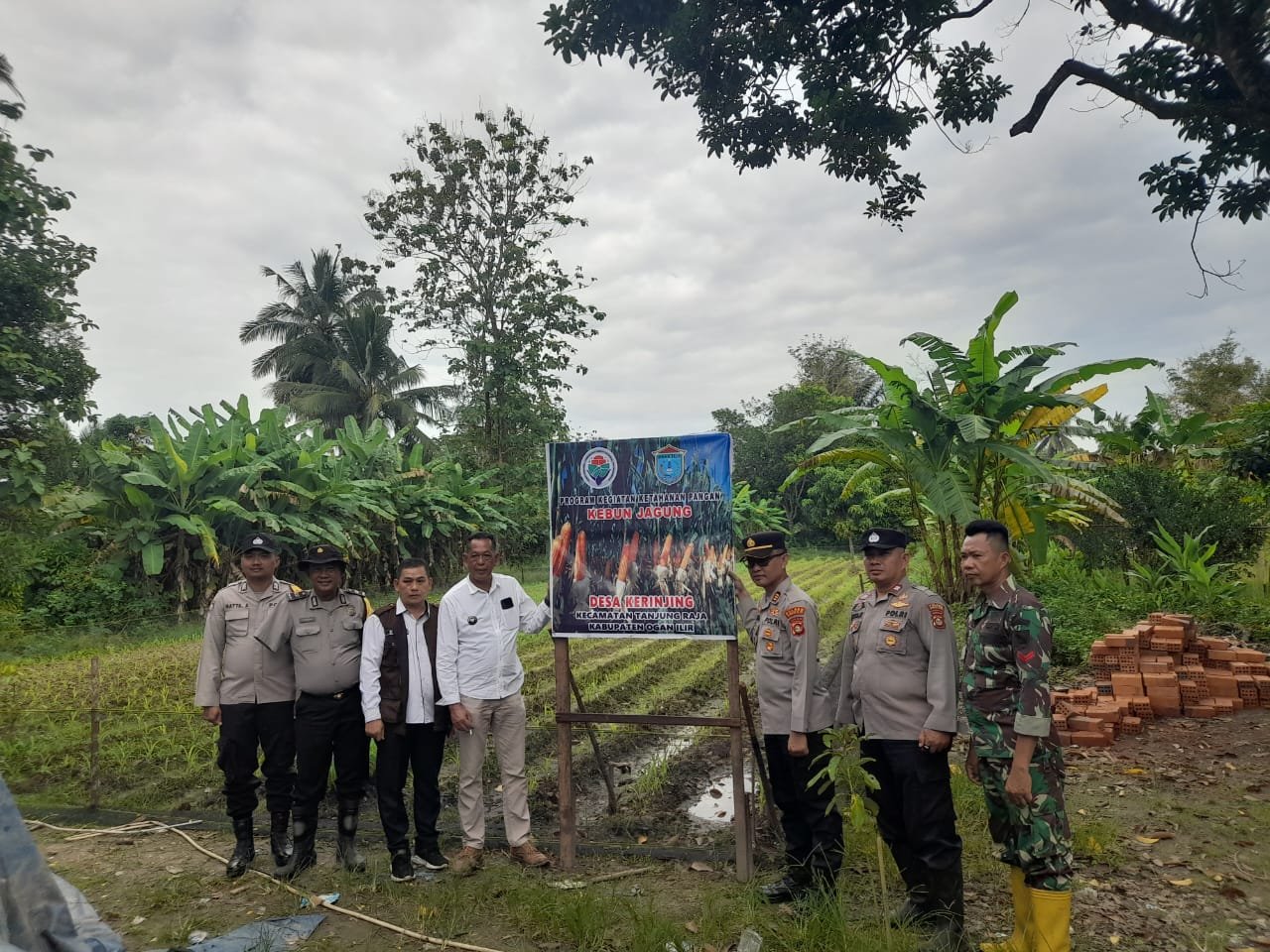 Polsek Tanjung Raja Dukung Ketahanan Pangan, Hadiri Penanaman Jagung Pipil di Desa Kerijing Ogan ilir Polsek Tanjung Raja Dukung Ketahanan Pangan, Hadiri Penanaman Jagung Pipil di Desa Kerijing Ogan ilir