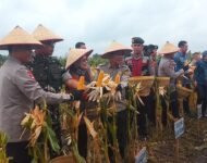 Kapolda Sumsel Irjen Pol Andi Rian R Djajadi Hadiri dan Pimpin Langsung Panen Raya Jagung Pipil di Ogan Ilir