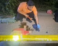 Polisi Ogan Ilir Lakukan Olah TKP dan Penyelidikan, Warga Temukan Mayat Perempuan di Pinggir Jalan Desa Sungai Rasau