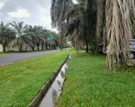 Pembangunan Drainase Diduga Dikerjakan Asal-asalan, Air Tergenang dan Tak Mengalir