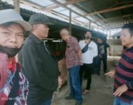 Kadiman Pakpahan Mr Dreamer,  KEPEDULIAN SOSIAL: FAKTA atau MITOS