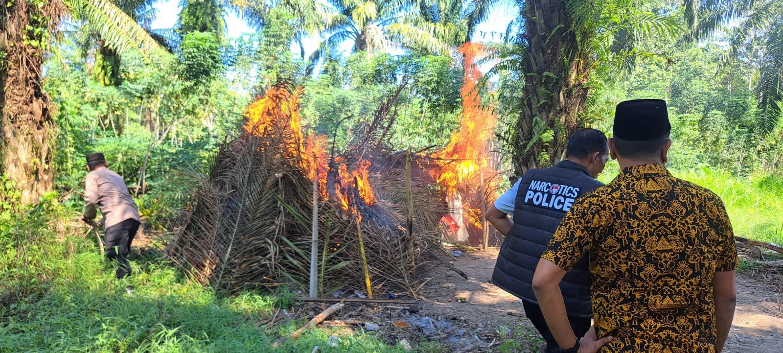 Satres Narkoba Polres Sergai Grebek Sarang Narkoba di Dolok Masihul