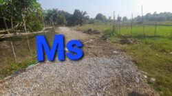 Petani Desa Ulak Bedil Ucapkan Terima Kasih atas Pembangunan Jalan Usaha Tani (JUT) Sepanjang 340 Meter Petani Desa Ulak Bedil Ucapkan Terima Kasih atas Pembangunan Jalan Usaha Tani (JUT) Sepanjang 340 Meter