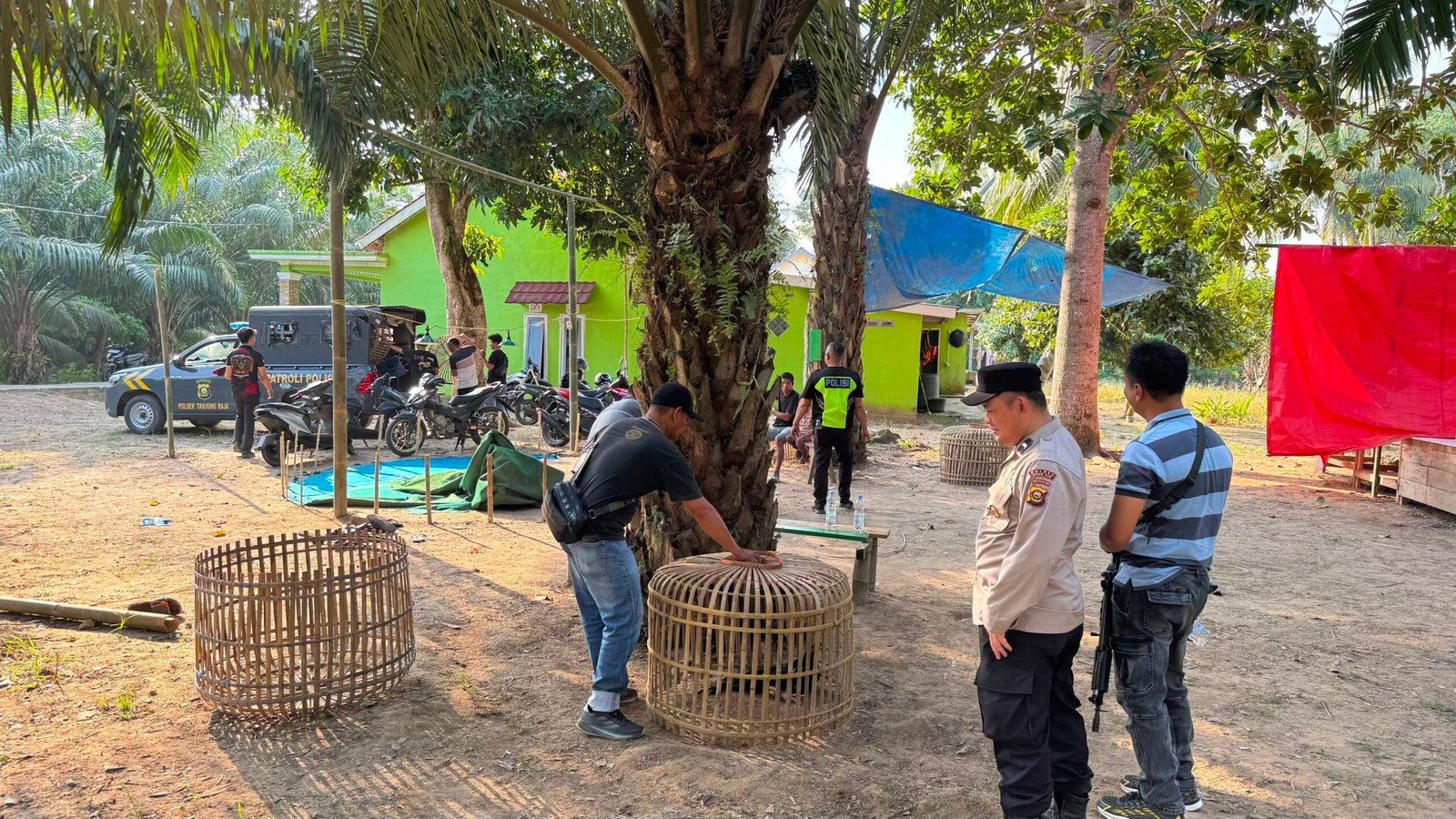 Kapolsek Tanjung Raja Gerebek Lokasi Sabung Ayam di Ogan Ilir, 1 Orang Diamankan Kapolsek Tanjung Raja Gerebek Lokasi Sabung Ayam di Ogan Ilir, 1 Orang Diamankan