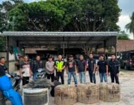 Kapolsek Tanjung Raja Gerebek Lokasi Sabung Ayam di Ogan Ilir, 1 Orang Diamankan