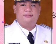 Halo Bupati Samosir, Mengapa Ada Ladang Bawang Di Tepian Danau Toba Lumban Pasir Dusun 3 Desa Lumban Suhi Suhi Toruan ?