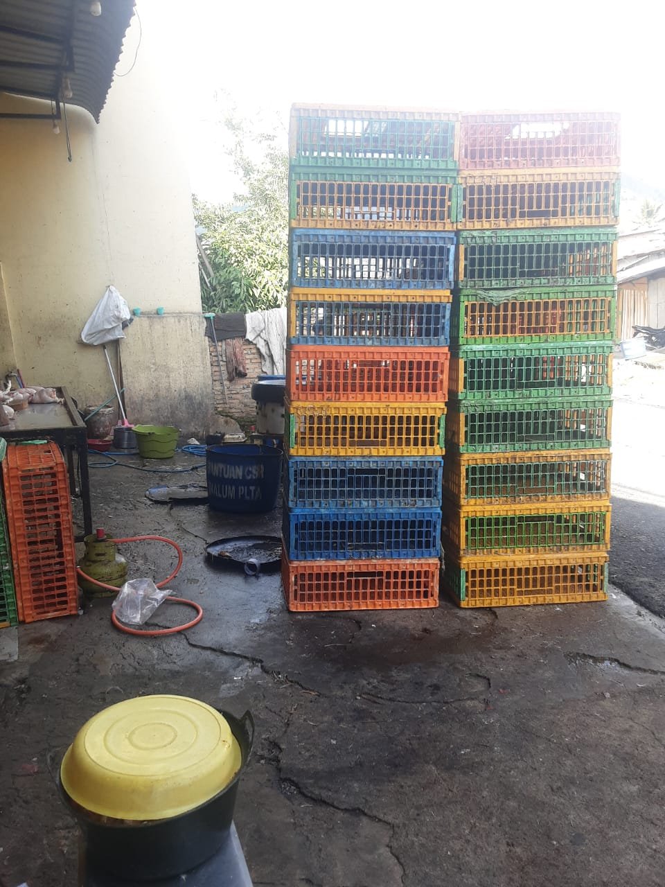 Usaha Potong Ayam Flestron Simbolon di Pangururan: 400 Ekor per Hari, Tembus 800 Ekor Saat Pekan Besar Usaha Potong Ayam Flestron Simbolon di Pangururan: 400 Ekor per Hari, Tembus 800 Ekor Saat Pekan Besar