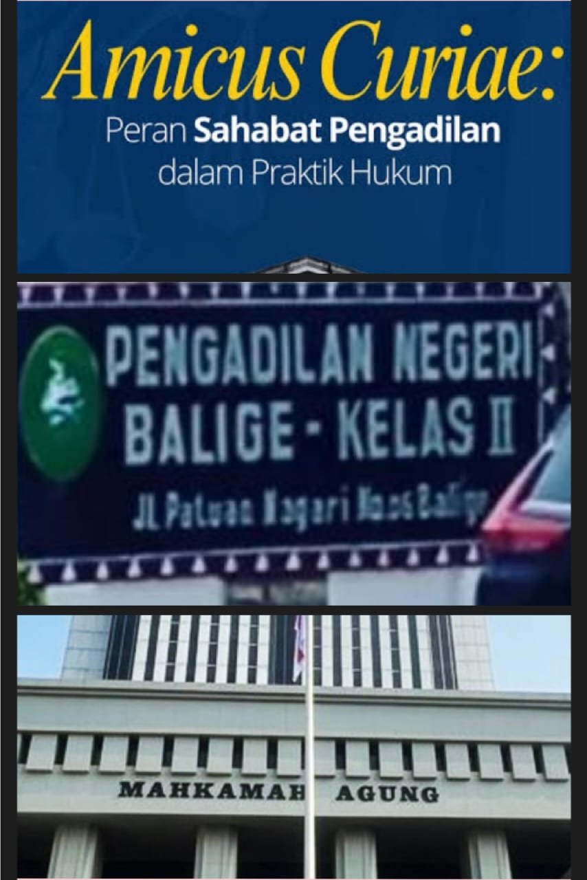 R Wendeilyna Simarmata, Hadapi Perkara dengan Hukum, Fakta dan Bukti, Bukan Serangan Pribadi R Wendeilyna Simarmata, Hadapi Perkara dengan Hukum, Fakta dan Bukti, Bukan Serangan Pribadi
