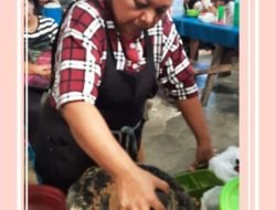 BORU PASARIBU SI PENJUAL PECAL SETIAP HARI RABU DI ONAN BARU PANGURURAN SAMOSIR