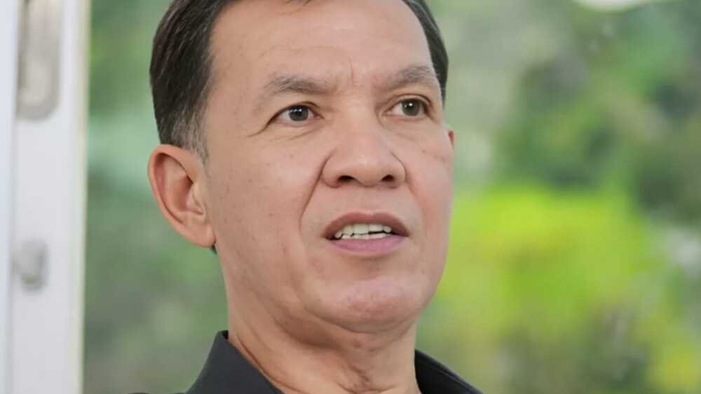 Sejumlah Partai Baru Bakal Tak Lolos ke Senayan, Pengamat : Bentuk Partai Lokal atau Melebur
