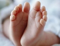 Fenomena Bayi Dibuang Karena Desakan Ekonomi Dinilai Karena Kemiskinan Sumsel Belum Terjawab