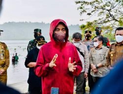 Presiden Tekankan Pentingnya Merawat dan Memelihara Hutan Mangrove di Tanah Air