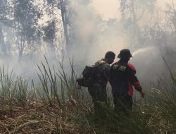 Karhutla di Sumsel Naik 2 Kali Lipat, Ini Lokasi Terluas