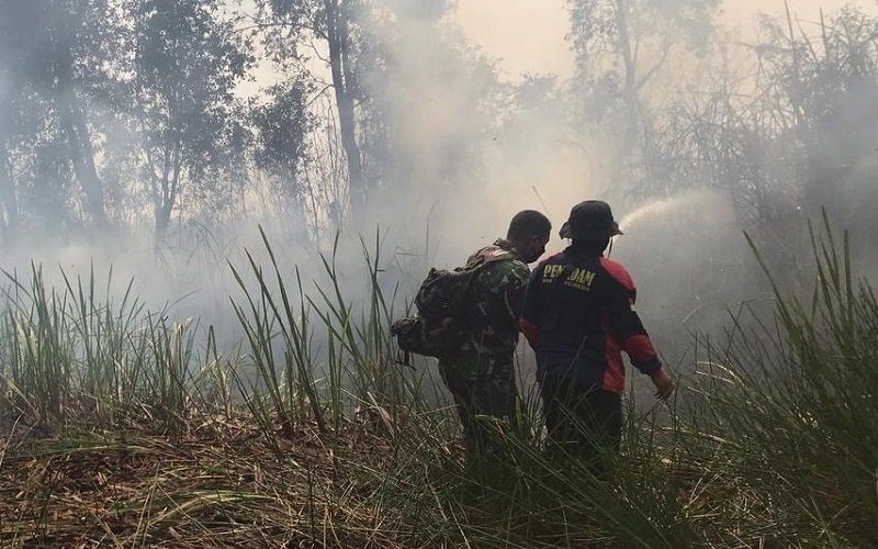 Karhutla di Sumsel Naik 2 Kali Lipat, Ini Lokasi Terluas Karhutla di Sumsel Naik 2 Kali Lipat, Ini Lokasi Terluas
